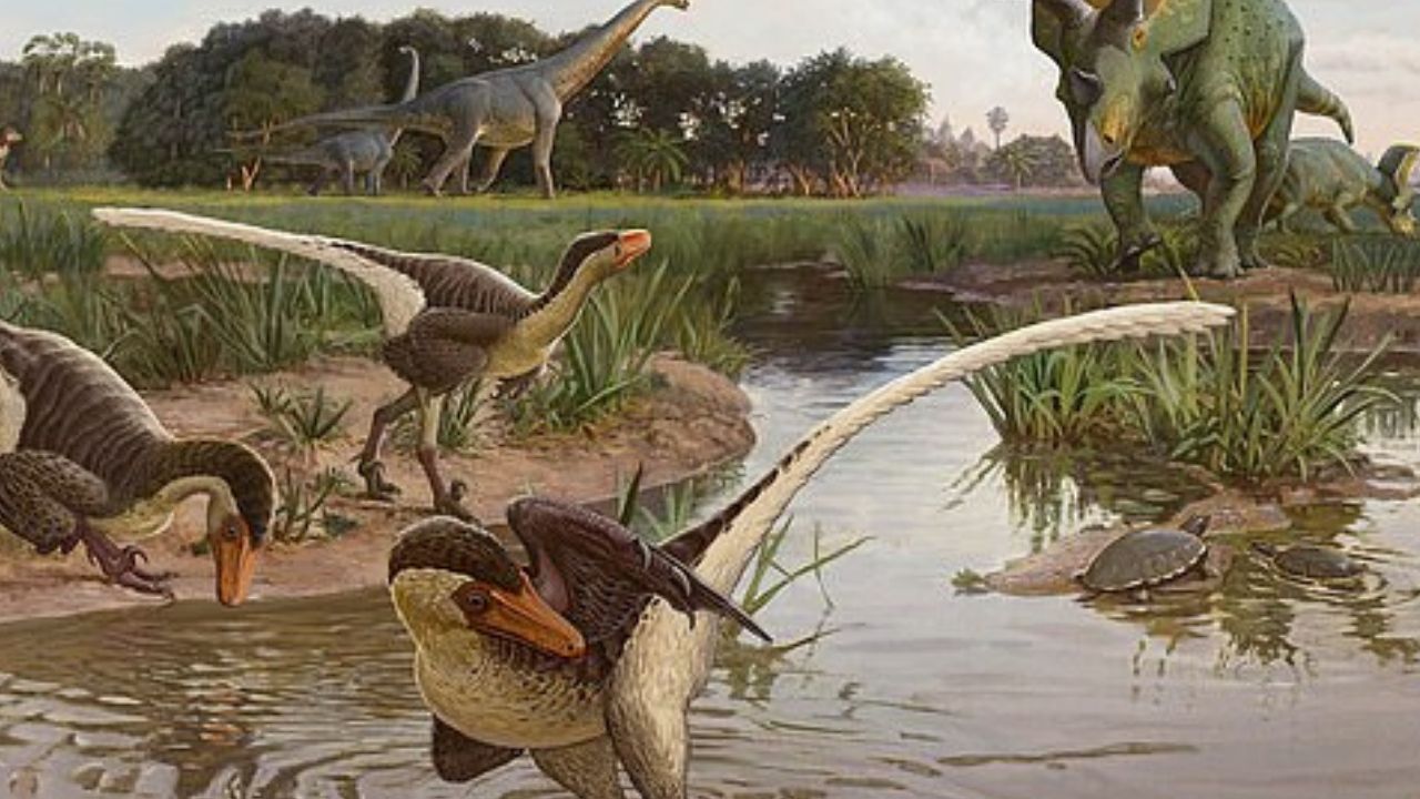 Fóssil de 67 milhões de anos revela espécie de dinossauro, até então, desconhecida