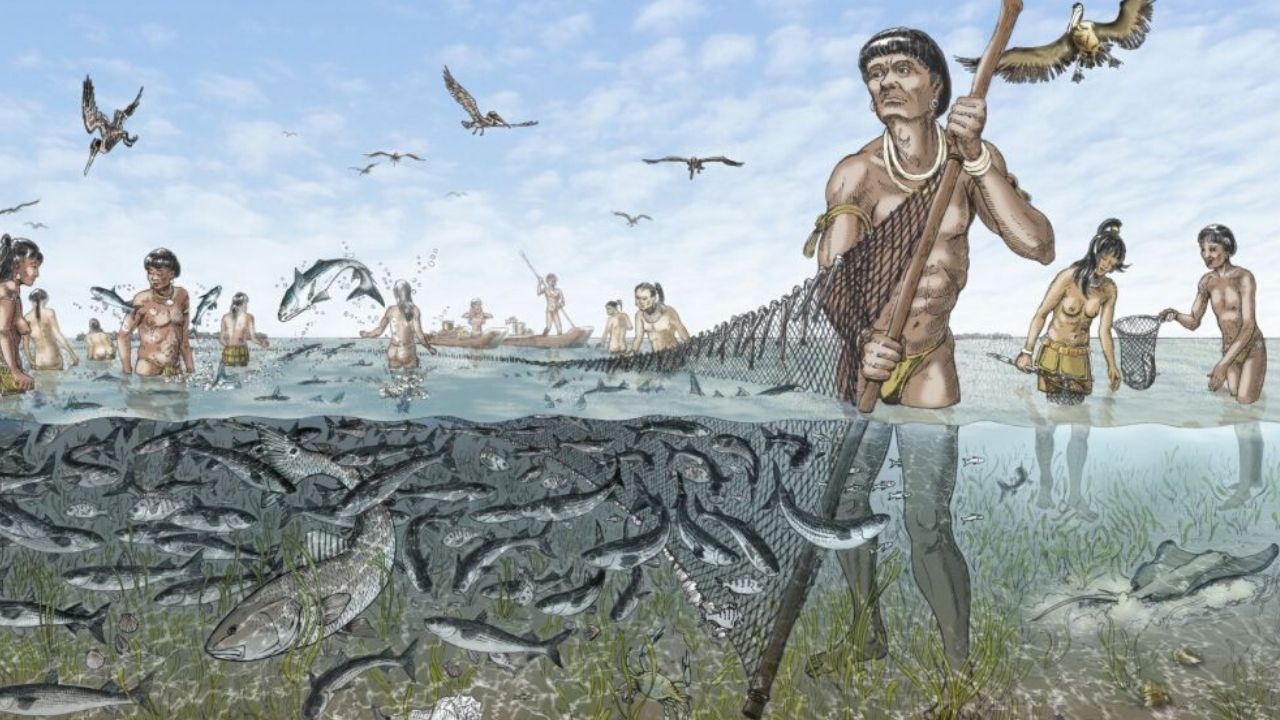 Pesquisadores descobrem como sociedade nativa da Flórida se diferenciou dos incas e maias