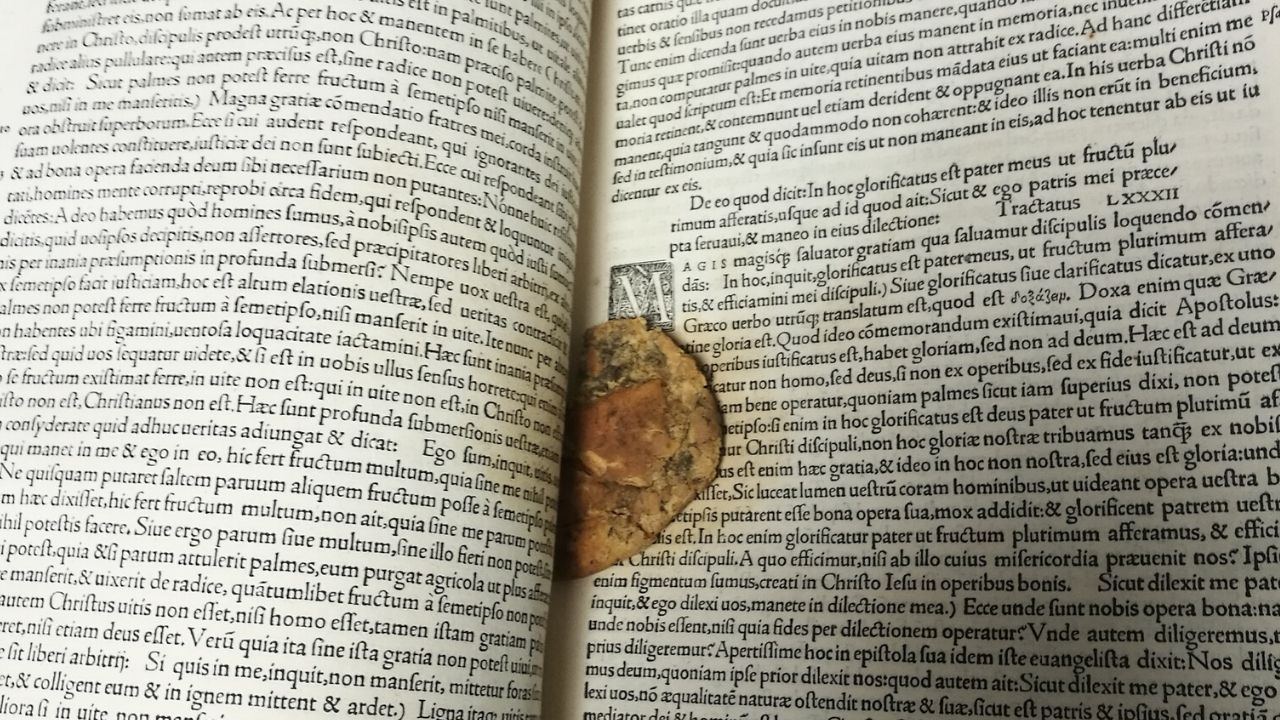 Cookie mordido é encontrado dentro de manuscrito do século 16 em biblioteca na Inglaterra