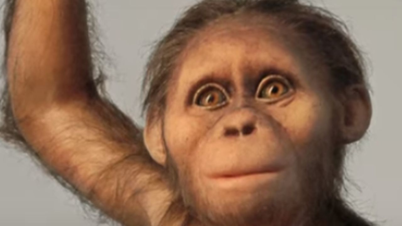 Novas descobertas sugerem que a nossa ancestral, Lucy, tinha cérebro humano primitivo