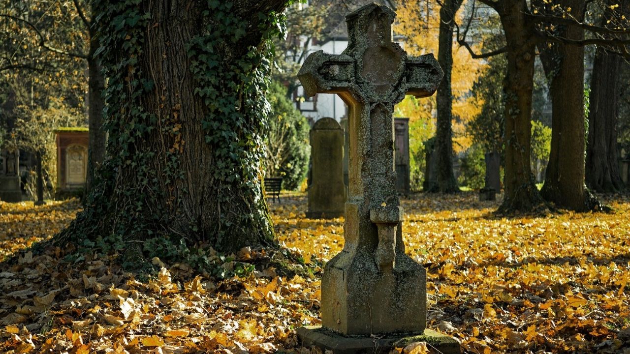Autoridades de El Salvador investigam cemitério clandestino com mais de 40 corpos