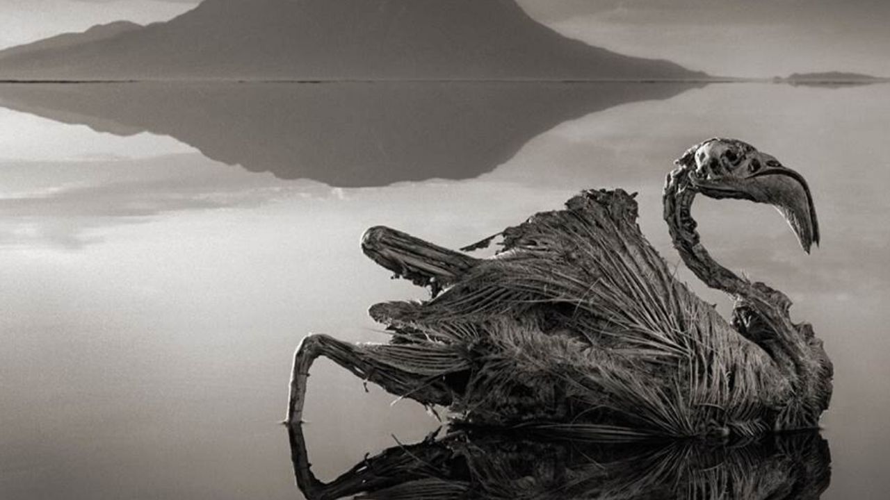 Lago Natron: as misteriosas múmias petrificadas da Tanzânia