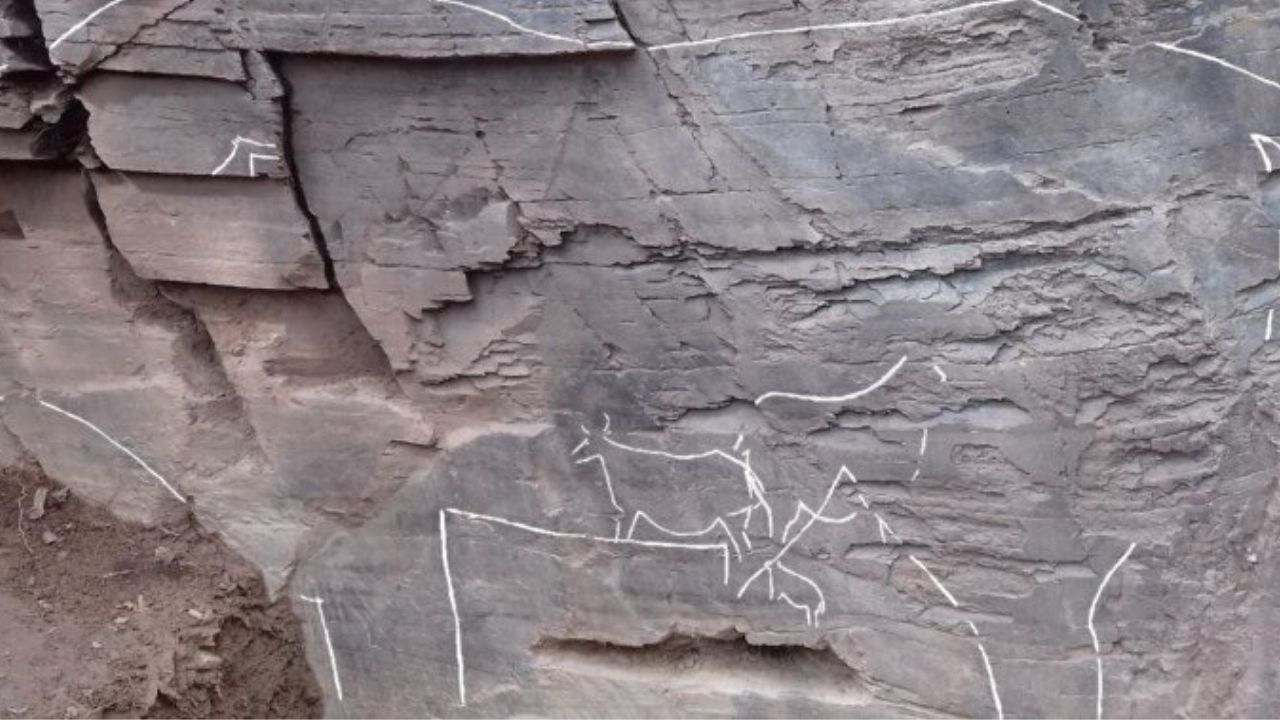 Arqueólogos encontram a maior figura rupestre de toda a Península Ibérica