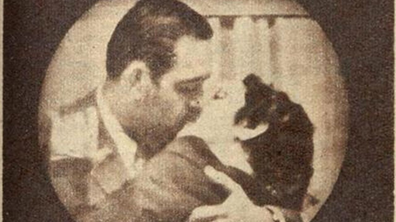 Através de foto, pesquisador identifica o primeiro beijo da televisão brasileira