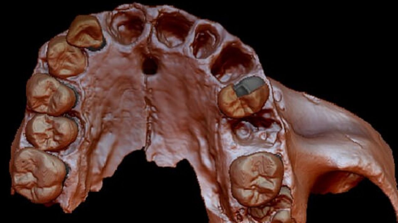 DNA humano mais antigo do mundo revela nova espécie de hominídio — parente do homem moderno