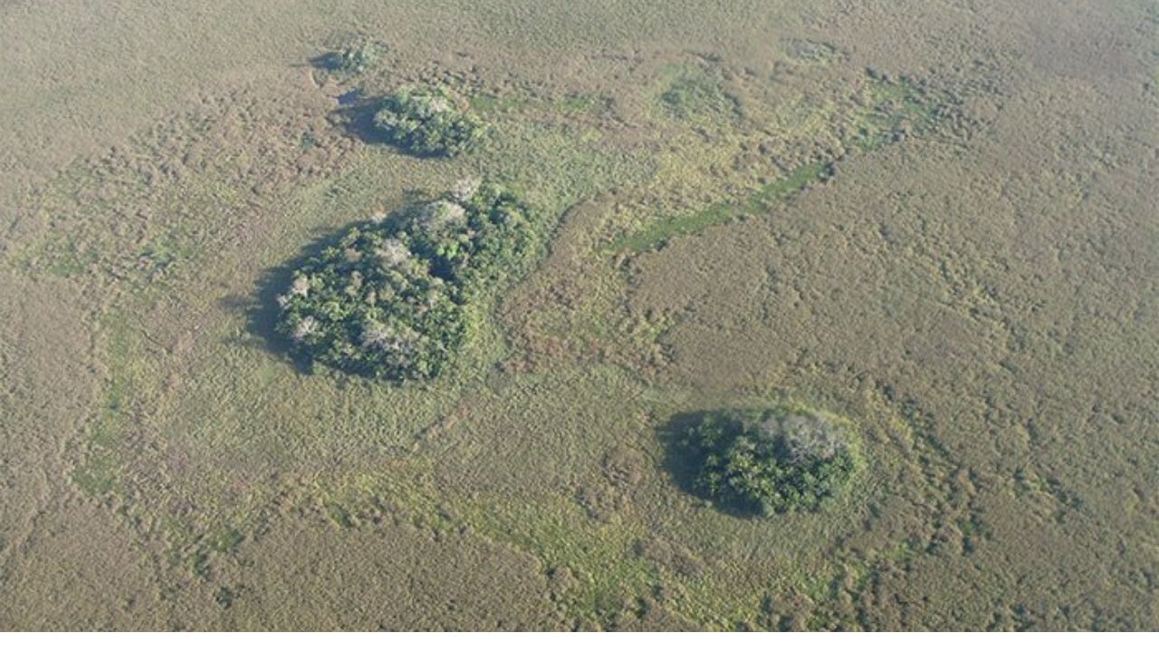 Agricultura na Amazônia já acontecia há 10 mil anos e alterou a geografia do local