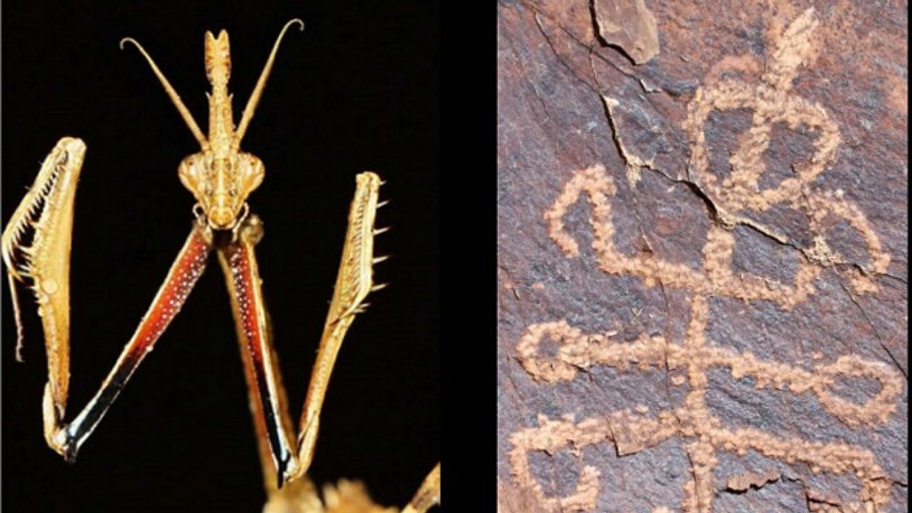 Gravura de criatura metade homem e metade louva-a-deus é achada no Irã