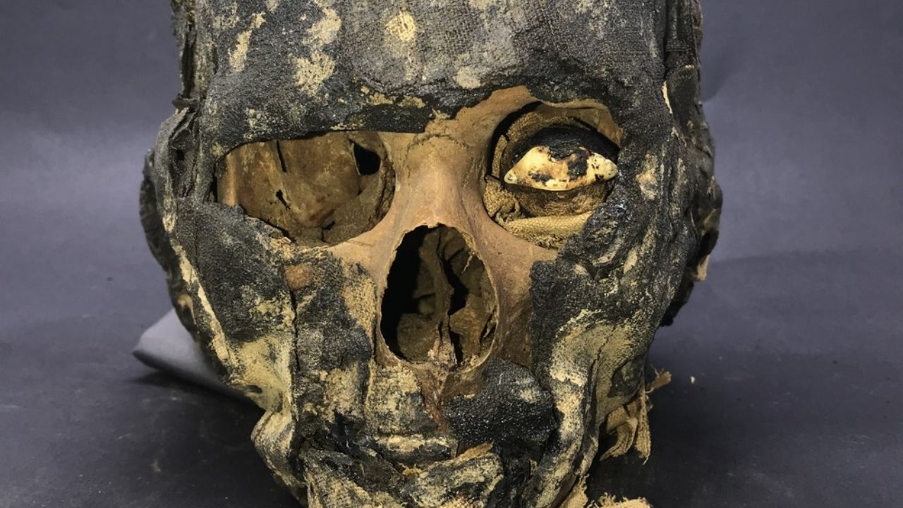 A história da múmia egípcia Iret-Neferet, que revelou células intactas mesmo após 2.500 anos