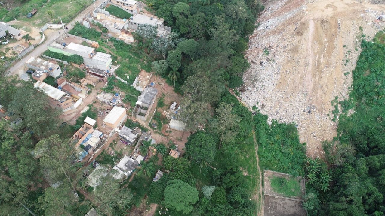 Crime organizado aumenta número de áreas verdes desmatadas em São Paulo