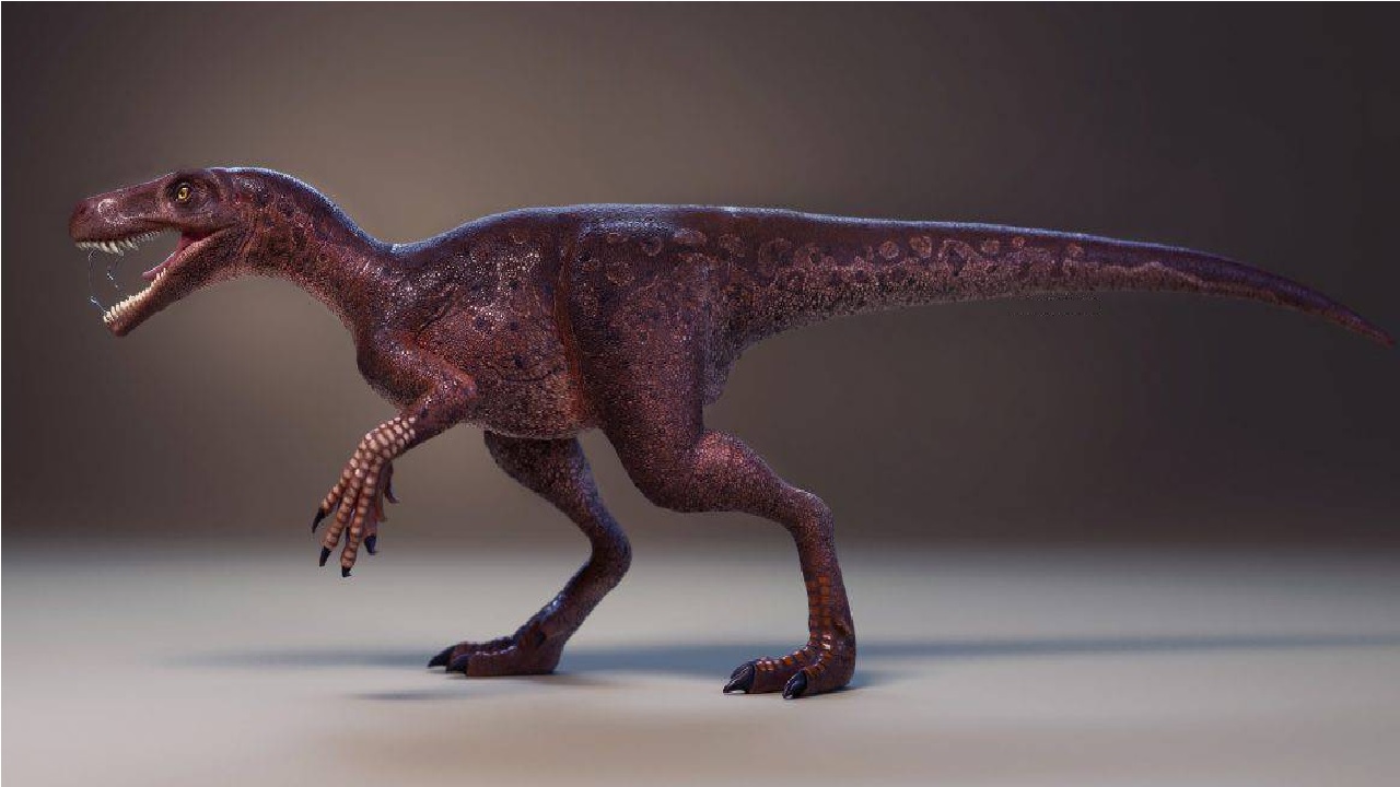 Paleontólogos brasileiros descobrem dinossauro carnívoro mais antigo do mundo