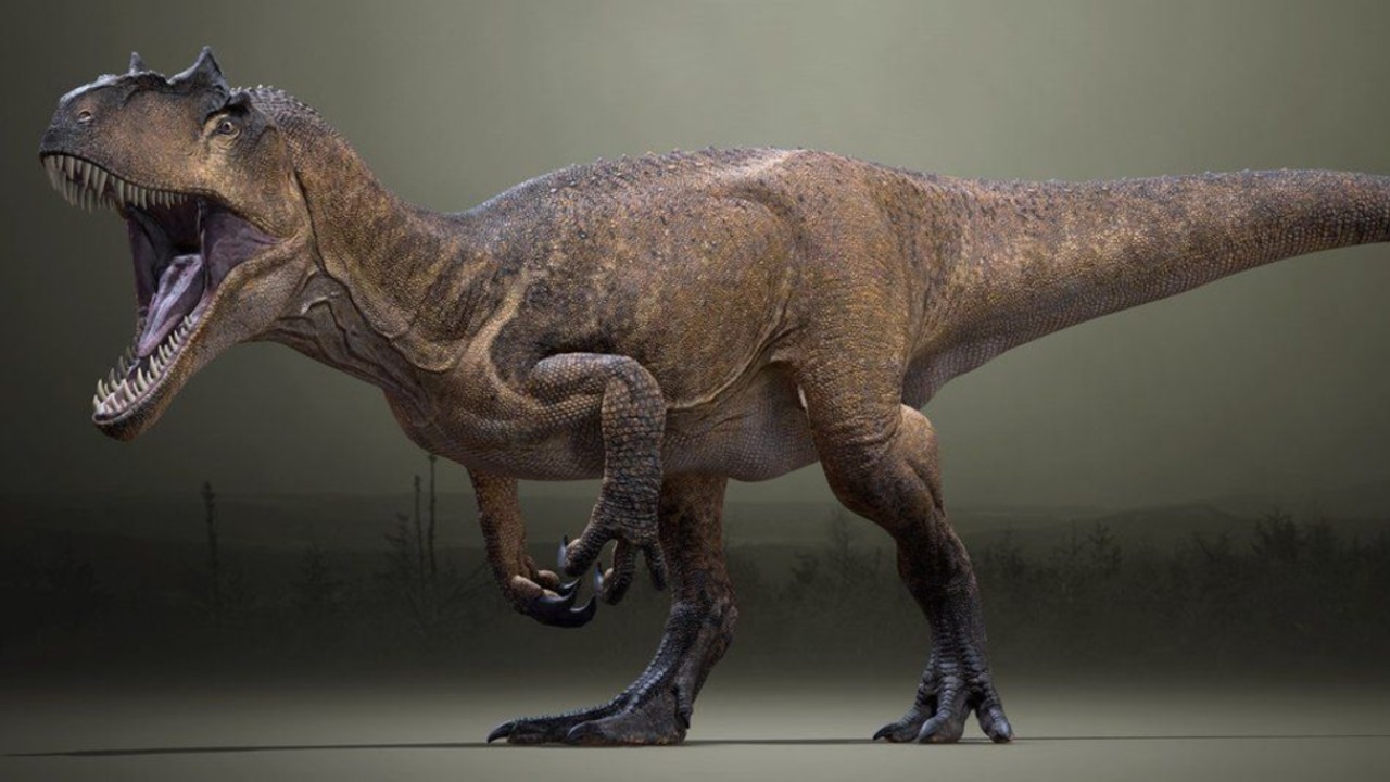 Na falta de comida, alguns dinossauros teriam recorrido ao canibalismo, indica estudo