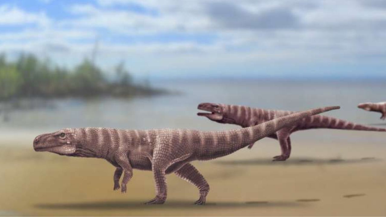 Estudo indica que crocodilos antigos andavam sobre duas pernas