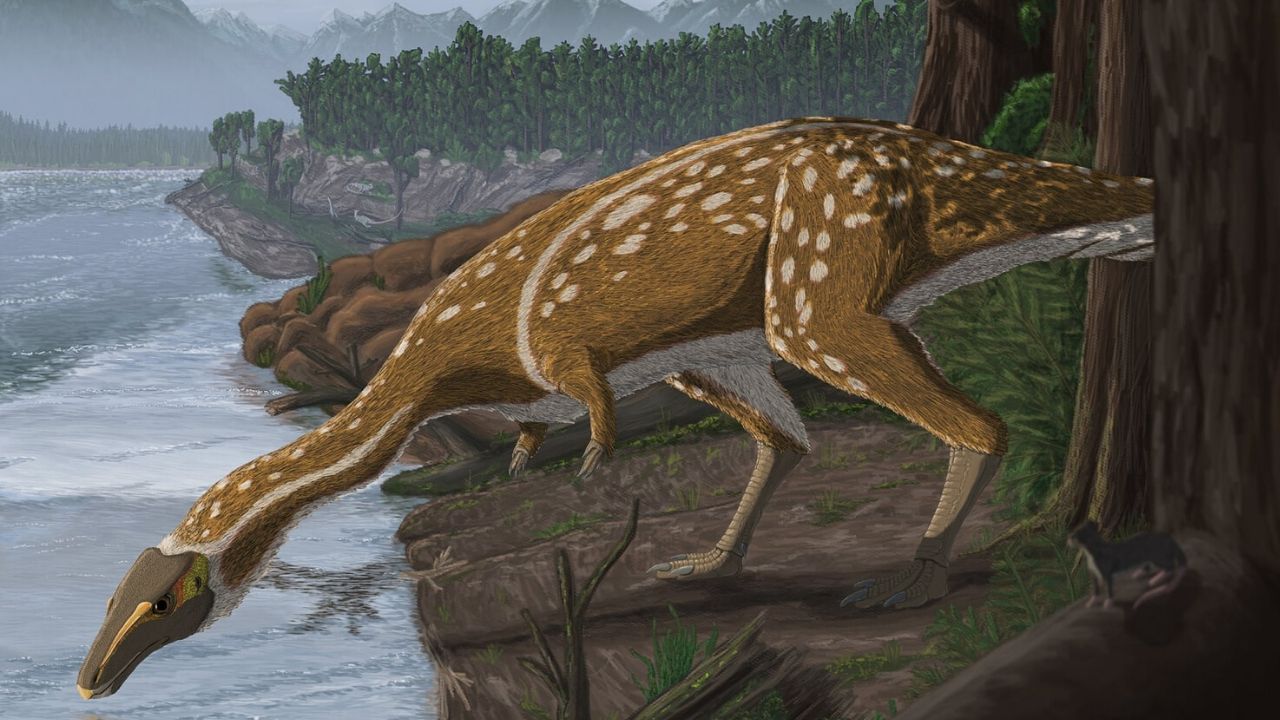 Pela primeira vez, fóssil de espécie rara de dinossauro é encontrado na Austrália