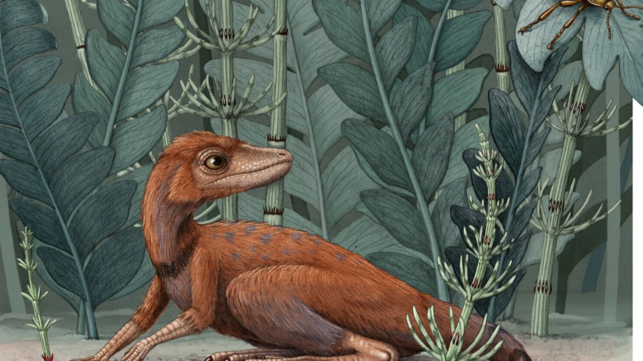 Fóssil encontrado em Madagascar sugere que os ancestrais dos pterossauros poderiam ser bem menores do que o esperado