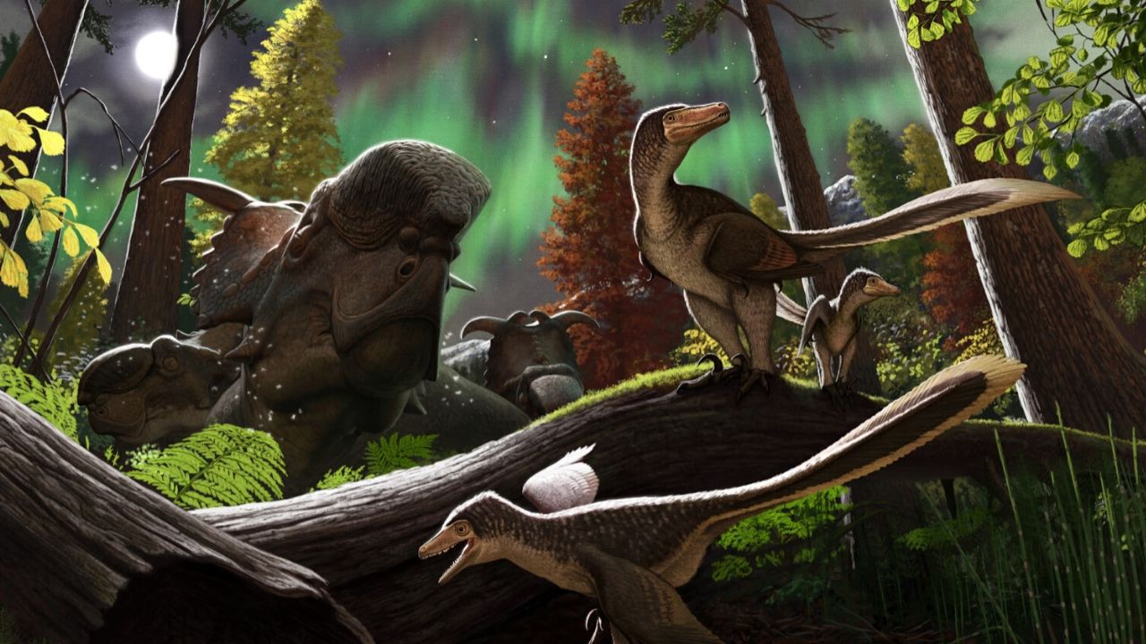 Paleontólogos descobrem evidências de mandíbula fossilizada de dinossauro no Alasca