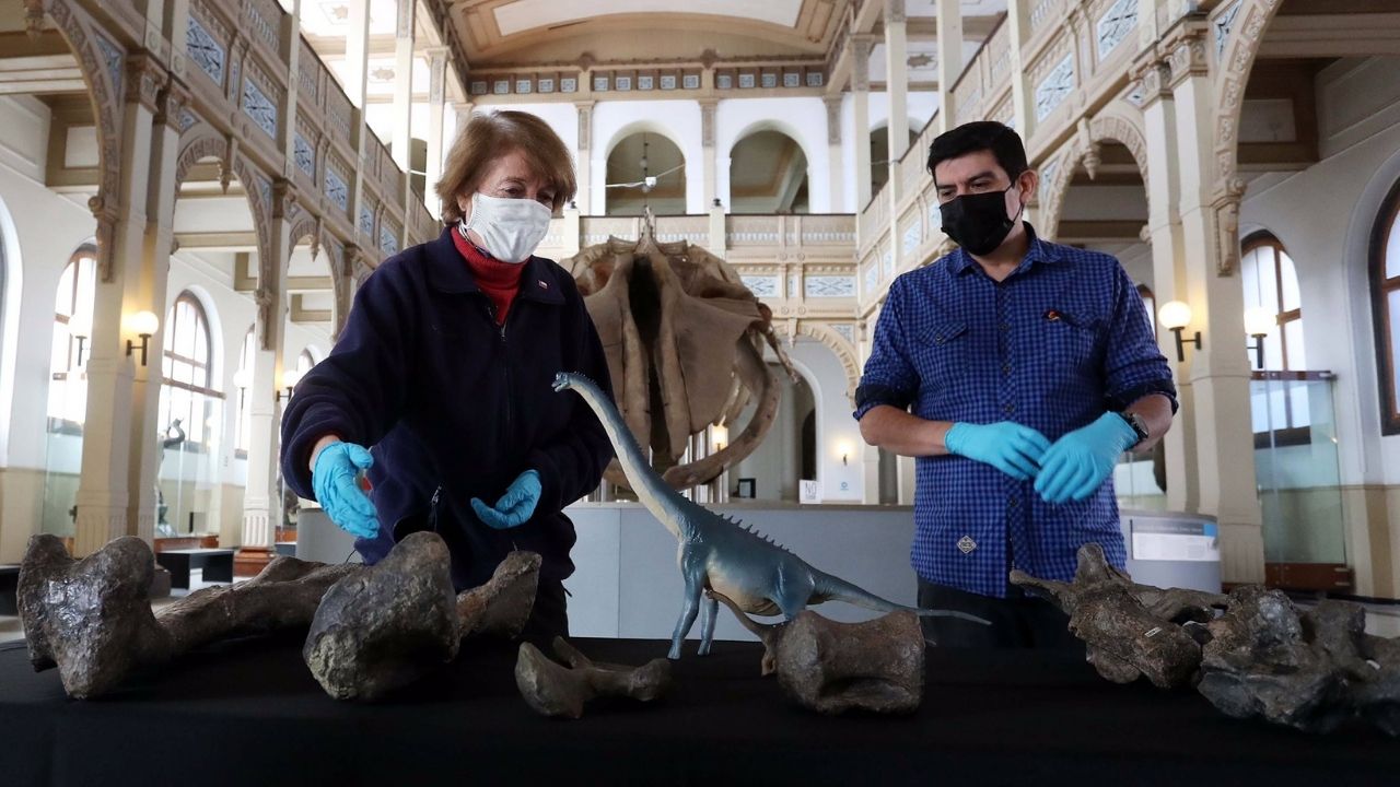 Ministério chileno identifica espécie de dinossauro que viveu no Atacama há milhões de anos