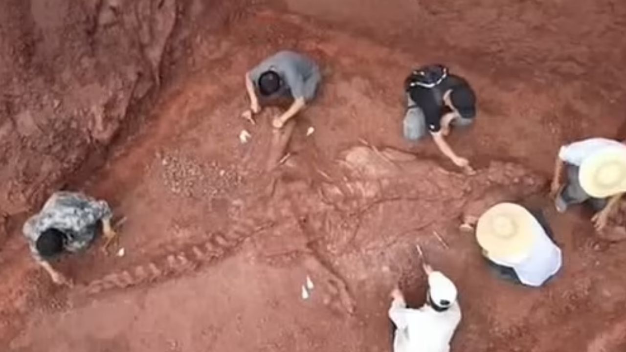 Fóssil de dinossauro de 180 milhões de anos é encontrado na China