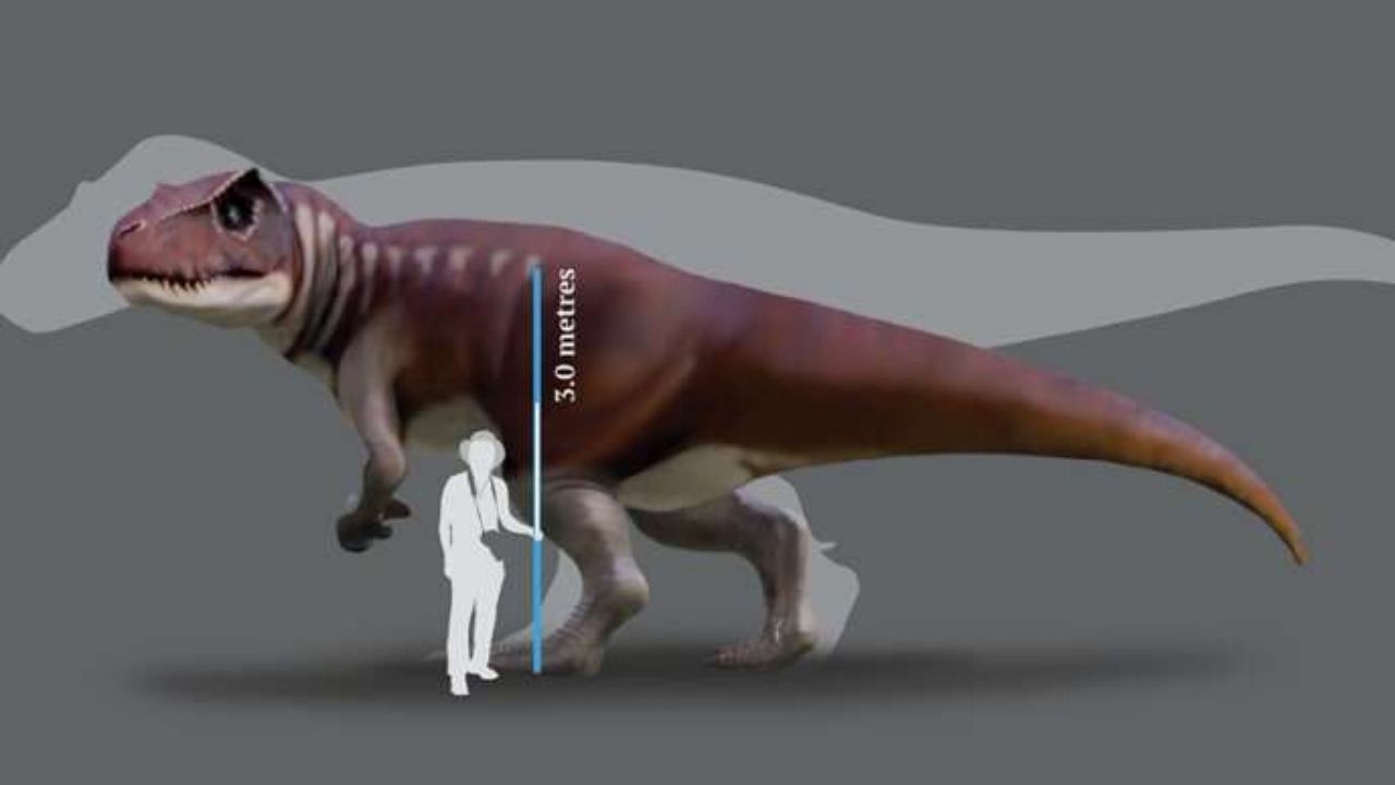 Pegadas revelam dinossauros gigantes e carnívoros na Austrália