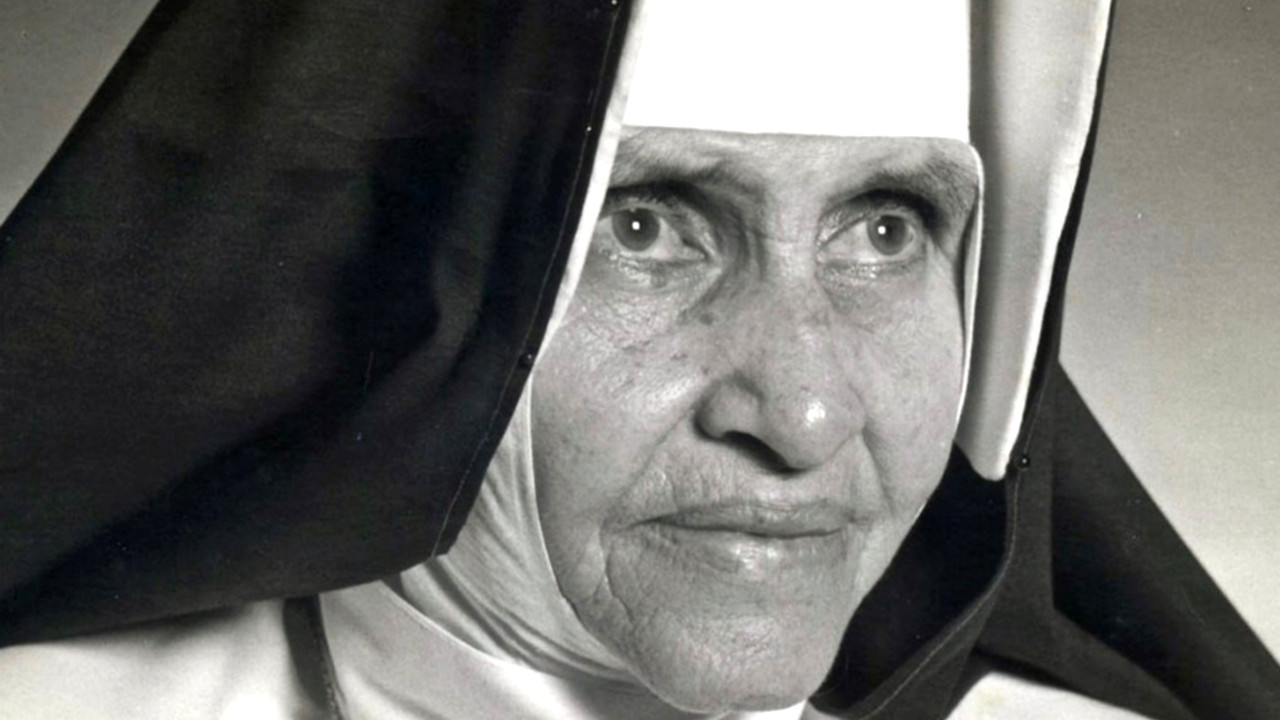 Irmã Dulce passou pela terceira canonização mais rápida da História