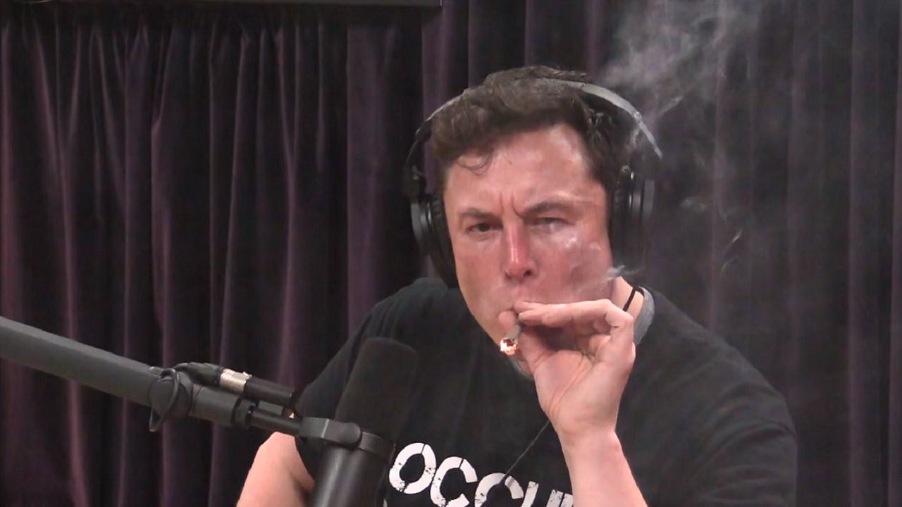 Elon Musk enviará maconha para o espaço