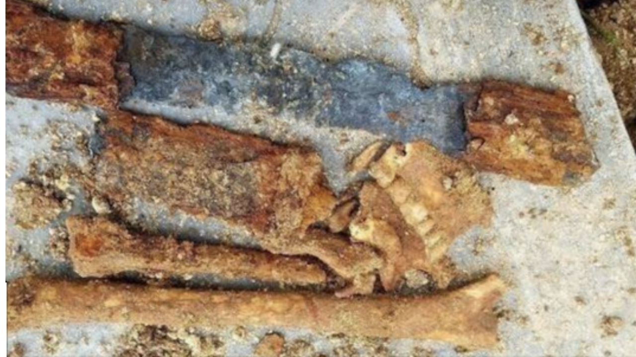 Sepultamento de vítima de Covid-19 revela intrigante esqueleto de 2.000 anos do Império Parta