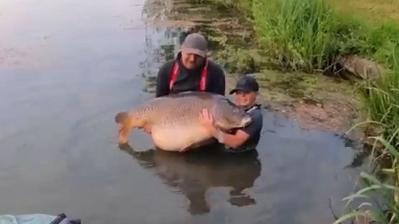 Estudante de 11 anos quebra recorde mundial ao fisgar peixe gigante
