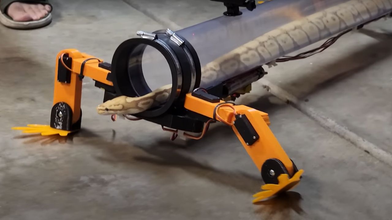 Vídeo: Engenheiro constrói pernas robóticas para cobras