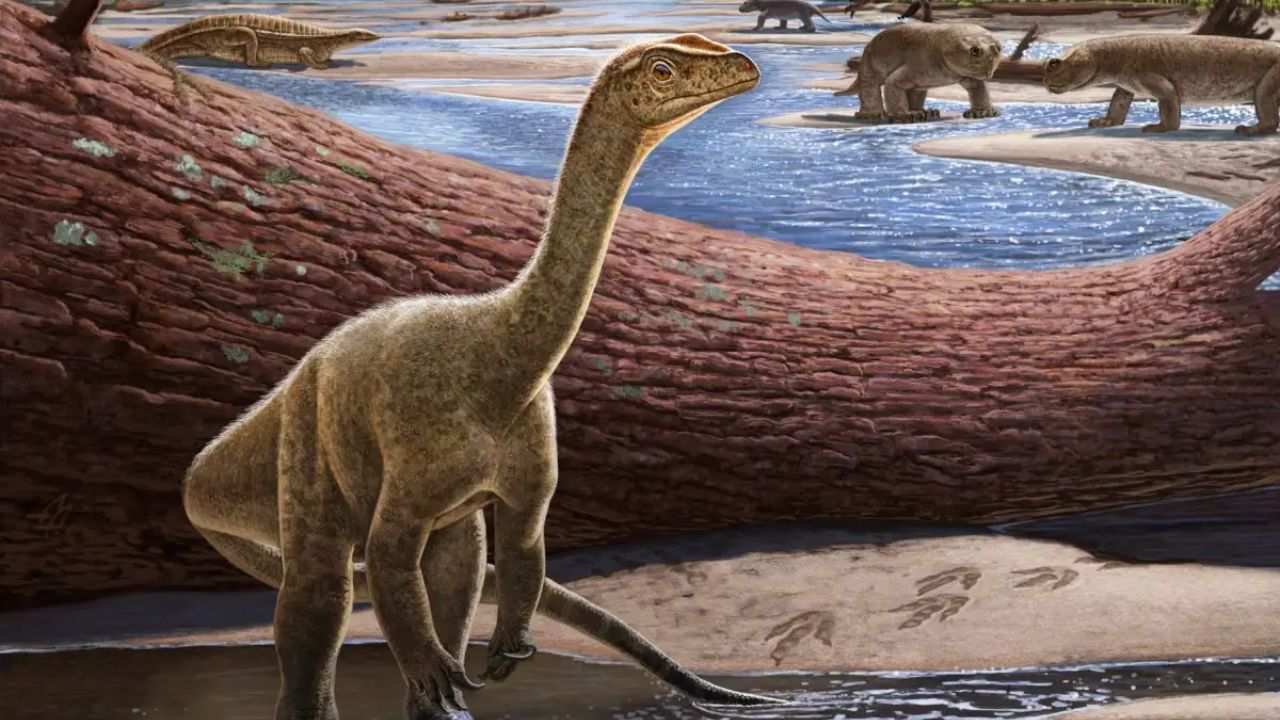 Fóssil de dinossauro descoberto em 2019 é o mais antigo da África