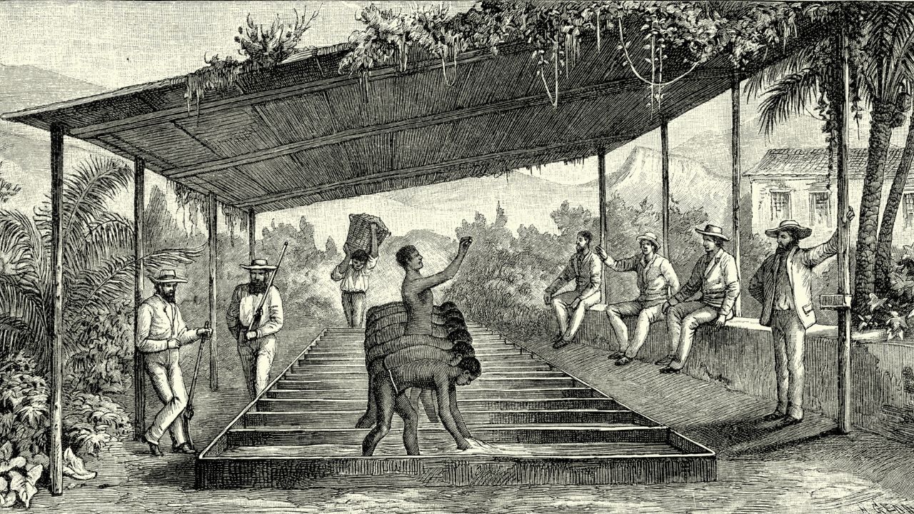 De 1822 a 1889: cinco livros para entender o Brasil Império