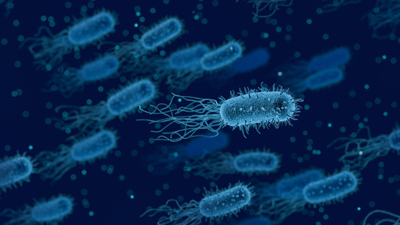 Em pesquisa, cientistas pedem cuidado com contaminações alienígenas