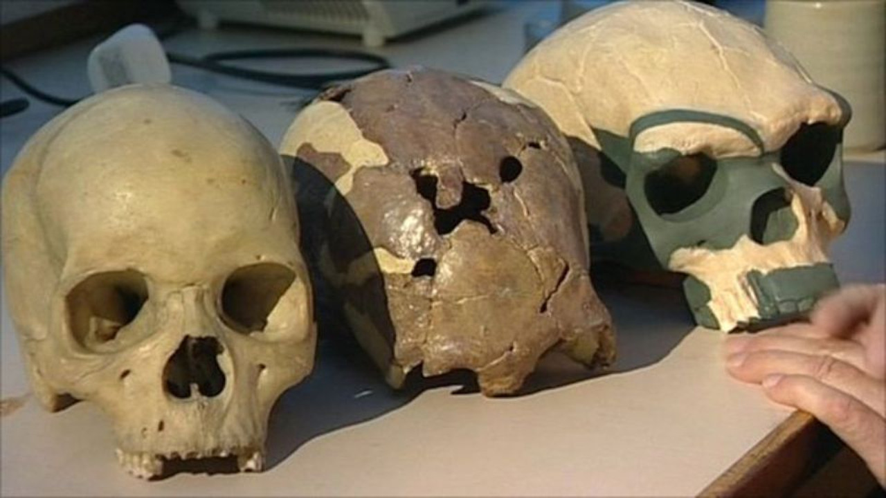 Espécie de hominídeo desconhecida intriga cientistas