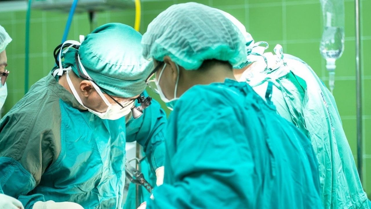 Coração de porco é transplantado com sucesso em humano