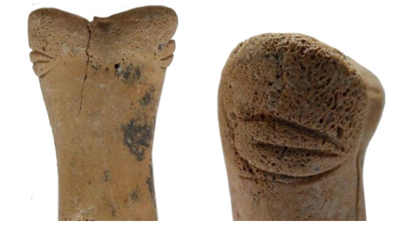 Rara escultura feita de ossos é analisada por arqueólogos na Turquia