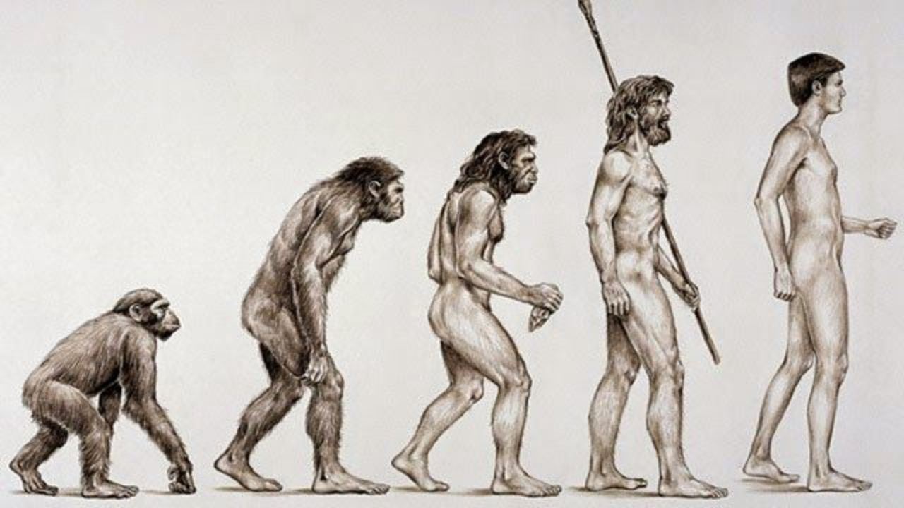 Antepassados humanos podem ter escalado árvores como macacos, sugere estudo