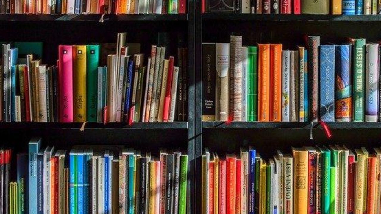 Taxação de livros: como a reforma tributária pode afetar as editoras?