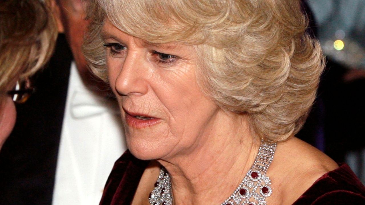 Camilla fala sobre futuro título de rainha consorte: ‘Muito honrada’