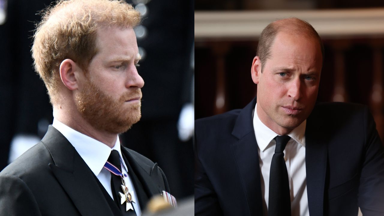Autora indica o que pode ter contribuído para o afastamento entre Harry e William