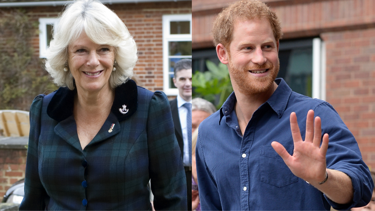 Monarquia britânica: realeza estaria preocupada sobre o que Harry pode falar de Camilla em livro