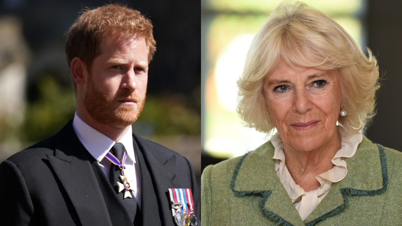 Sem perdoar Harry, Camilla é obstáculo para reconciliação na Família Real