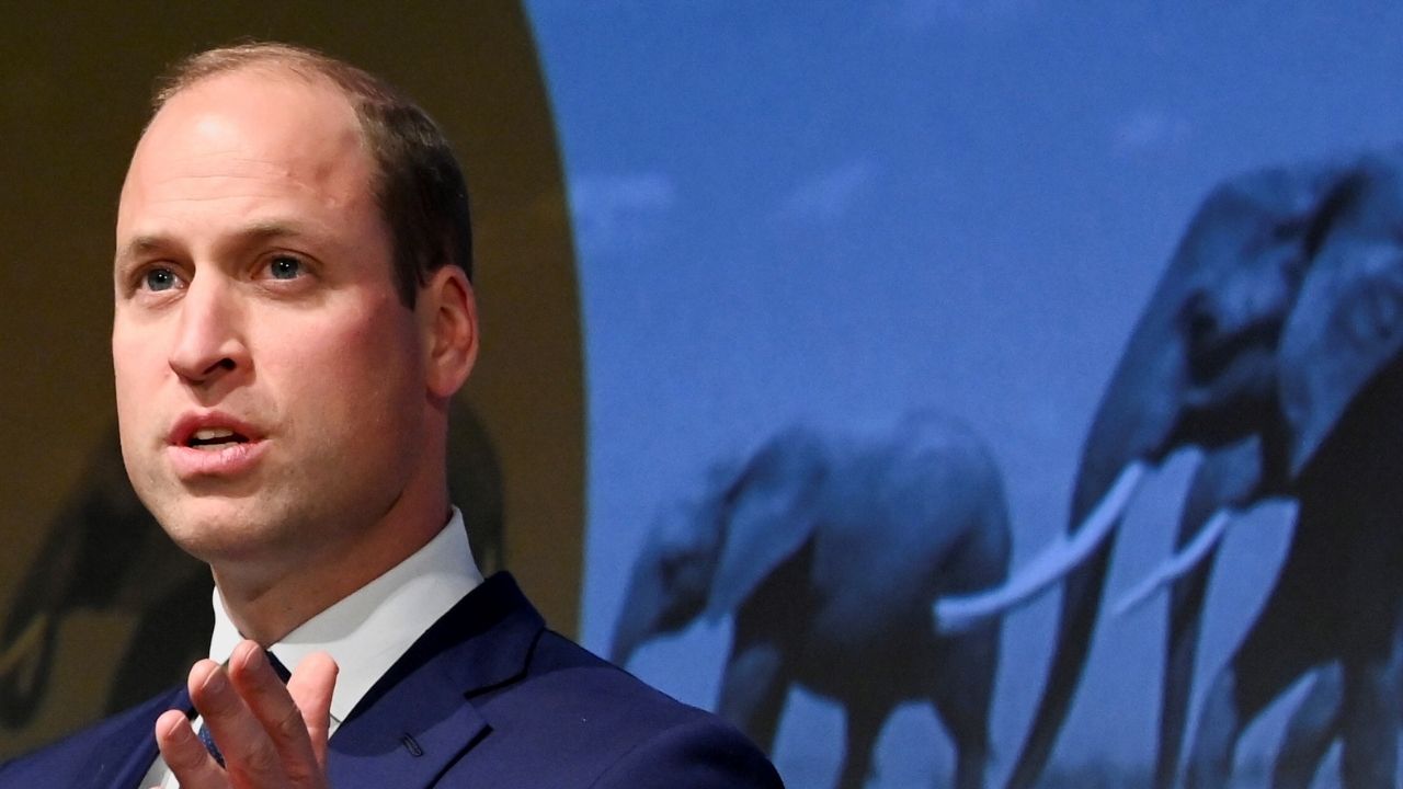 Príncipe William afirma que crescimento populacional no continente africano coloca vida selvagem em risco