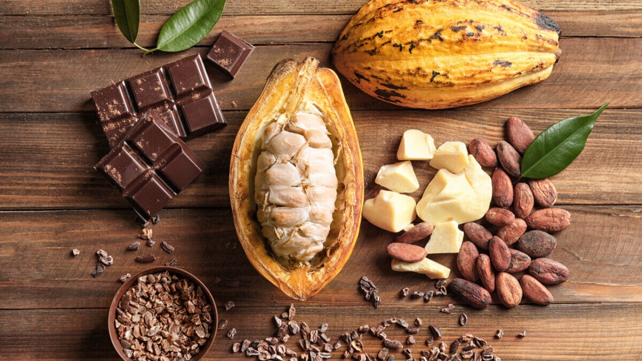 6 curiosidades sobre o cacau e o chocolate