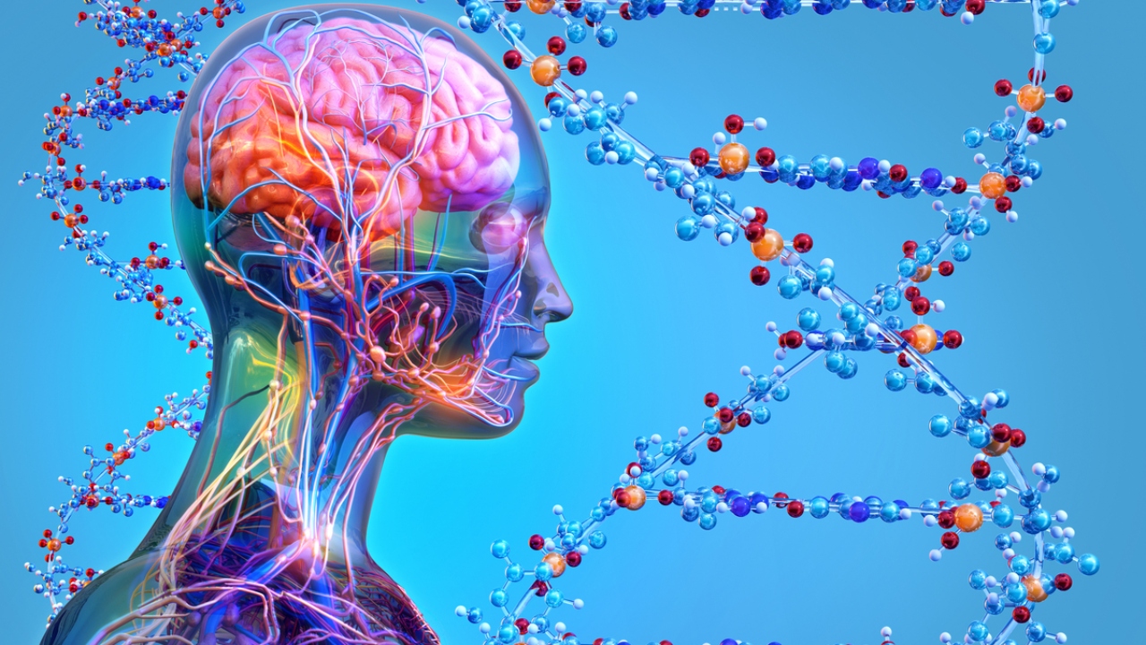 Herança genética: conheça as 6 doenças mais comuns