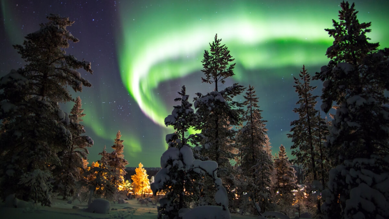 6 passeios imperdíveis para fazer na Lapônia durante o inverno