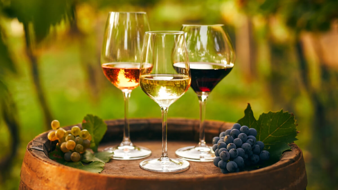 Conheça os vinhos da região sul da Itália