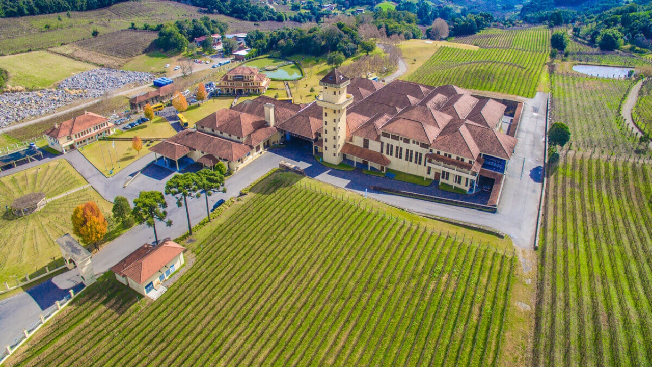 10 destinos brasileiros para degustar vinhos