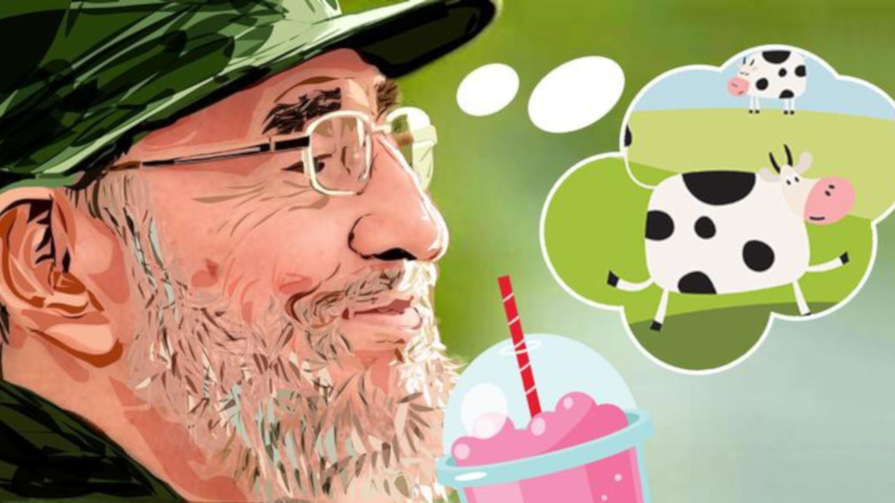 Voraz bebedor de leite, Fidel Castro criou a supervaca