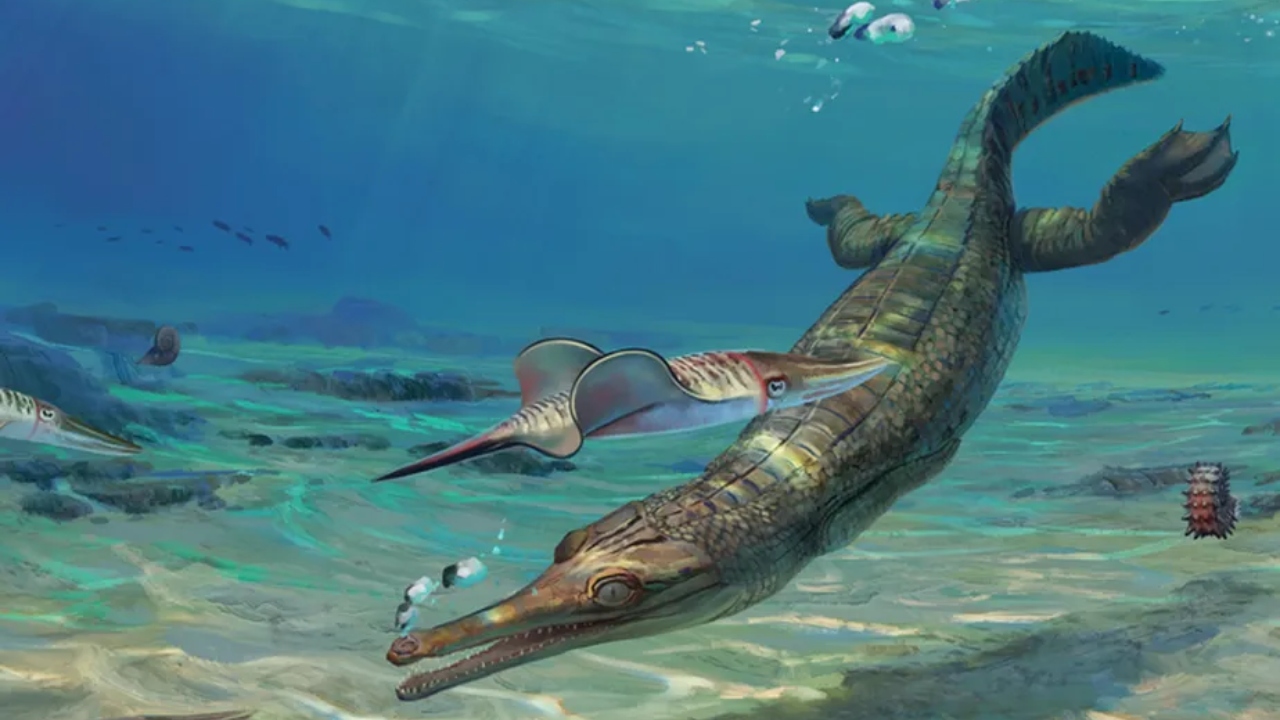 Pesquisadores descobrem fóssil de crocodilo de 185 milhões de anos