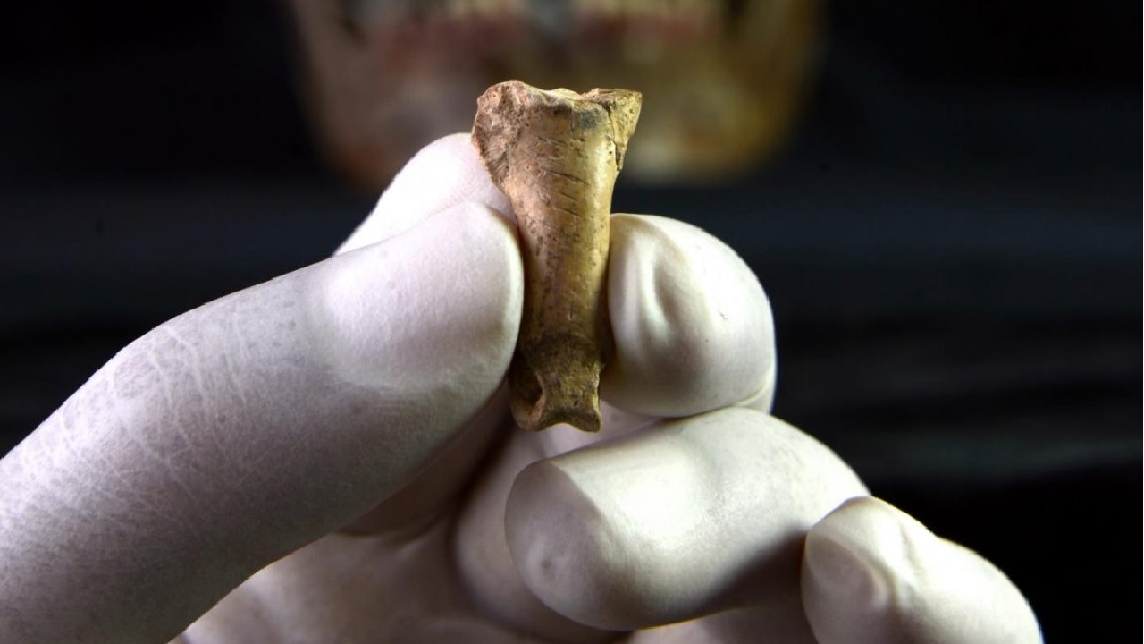 Pesquisadores encontram colar neandertal feito com garra de águia
