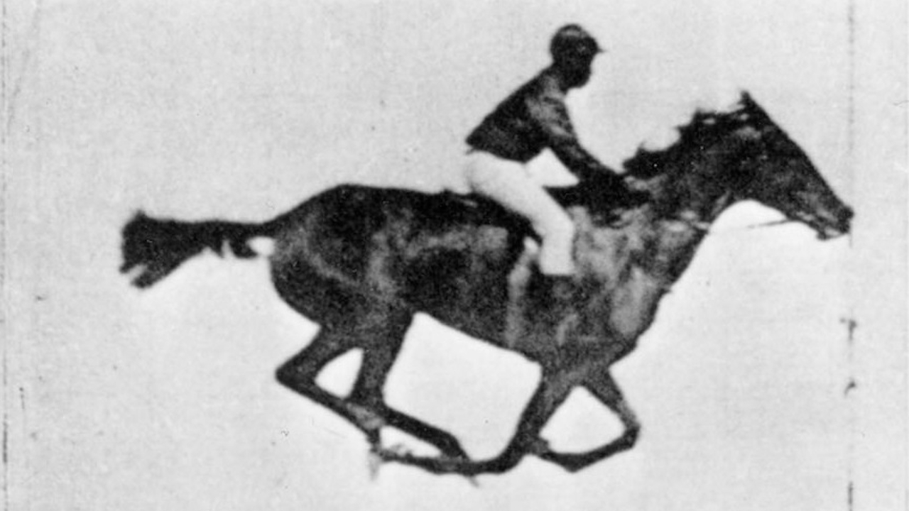 A aposta em cavalos e o cinema