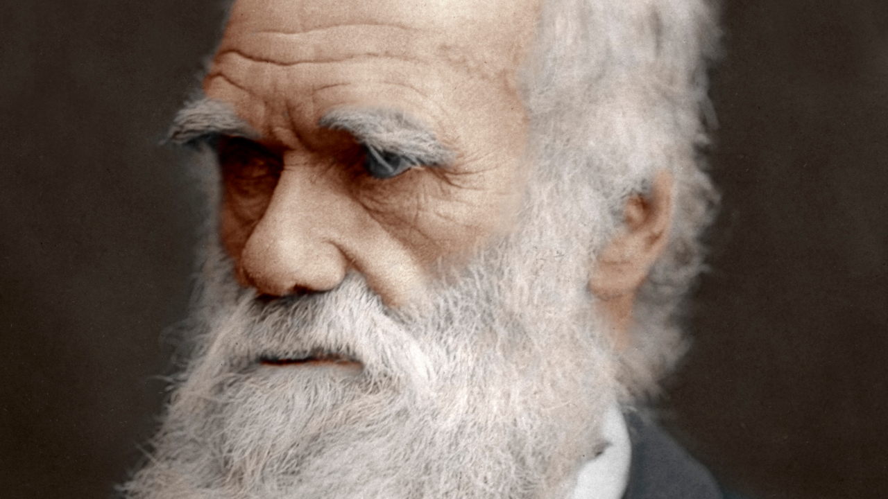 Universidade de Cambridge identifica que dois cadernos de Darwin foram roubados